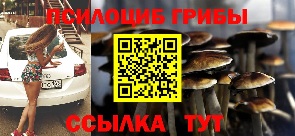 Псилоцибиновые грибы GOLDEN TEACHER  Вход с VPN  Новочебоксарск  Галлюциногенные грибы Magic Shrooms 